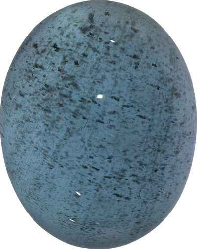 Oval cut aquamarine, 17.78 by 14.16 mm, shown at actual size