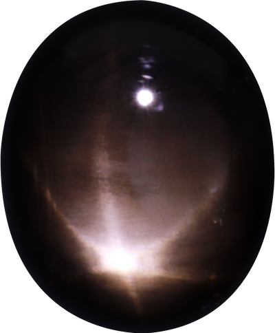 Oval cut black star sapphire, 15.9 by 13.1 mm, shown at actual size