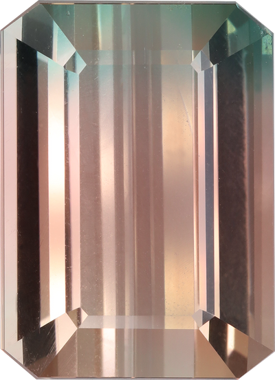 Rectangular cut bi colour tourmaline, 17.93 by 13.02 mm, shown at actual size