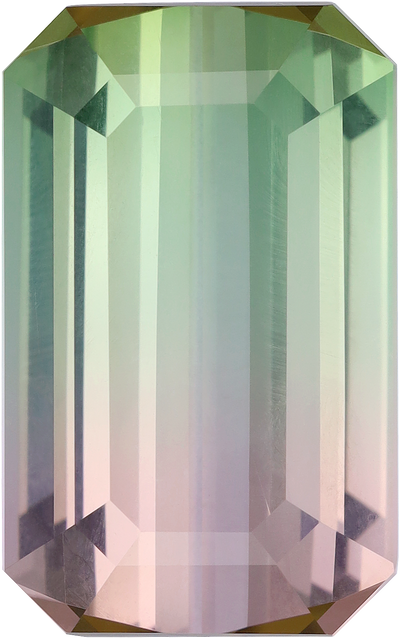 Rectangular cut bi colour tourmaline, 21.39 by 13.32 mm, shown at actual size