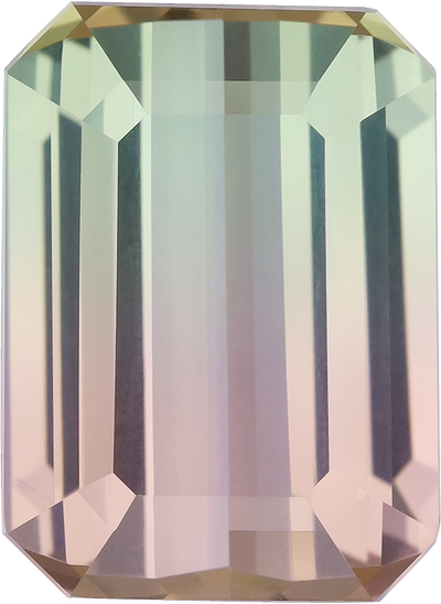 Rectangular cut bi colour tourmaline, 17.46 by 12.78 mm, shown at actual size