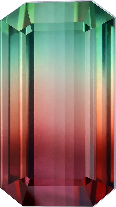 Rectangular cut bi colour tourmaline, 19.87 by 11.1 mm, shown at actual size