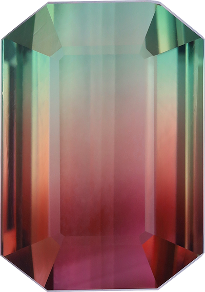 Rectangular cut bi colour tourmaline, 14.88 by 10.46 mm, shown at actual size