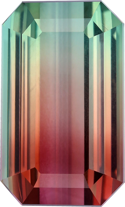 Rectangular cut bi colour tourmaline, 13.81 by 8.32 mm, shown at actual size