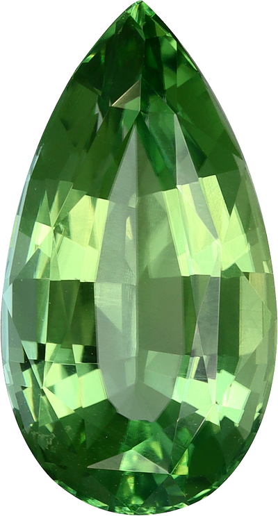 Pear cut chrome tourmaline, 14.09 by 7.6 mm, shown at actual size