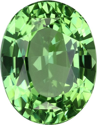 Oval cut chrome tourmaline, 8.76 by 6.81 mm, shown at actual size