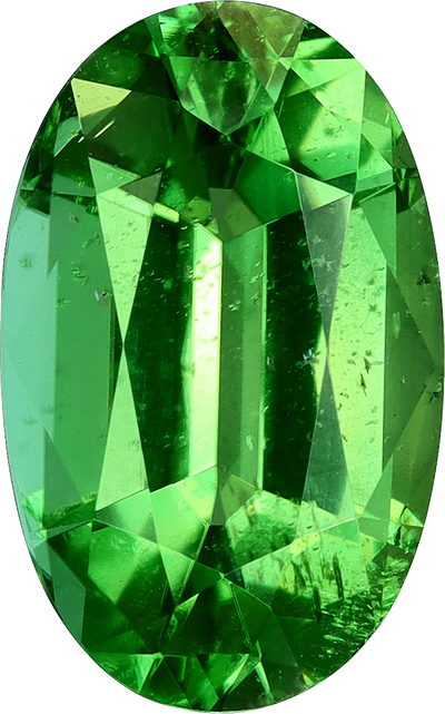 Oval cut chrome tourmaline, 10.6 by 6.63 mm, shown at actual size