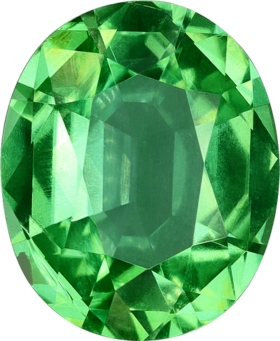 Oval cut chrome tourmaline, 9.18 by 7.52 mm, shown at actual size