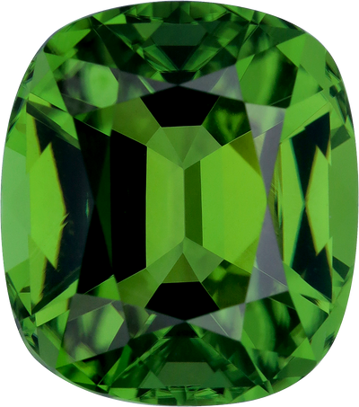 Cushion cut chrome tourmaline, 12.19 by 10.73 mm, shown at actual size