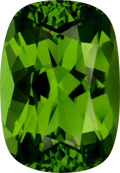 Cushion cut chrome tourmaline, 17.24 by 12.06 mm, shown at actual size