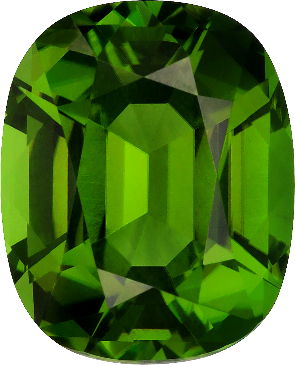 Cushion cut chrome tourmaline, 17.12 by 13.85 mm, shown at actual size