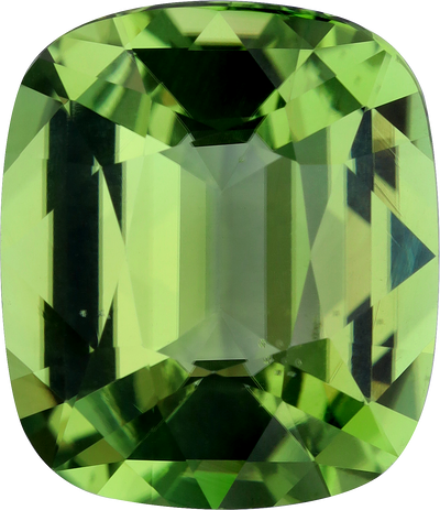 Cushion cut chrome tourmaline, 12.99 by 11.19 mm, shown at actual size