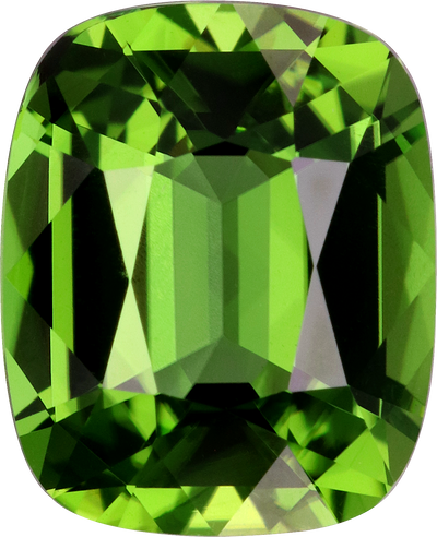 Cushion cut chrome tourmaline, 10.11 by 8.23 mm, shown at actual size