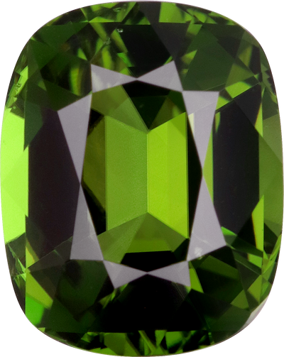 Cushion cut chrome tourmaline, 10.12 by 8.04 mm, shown at actual size