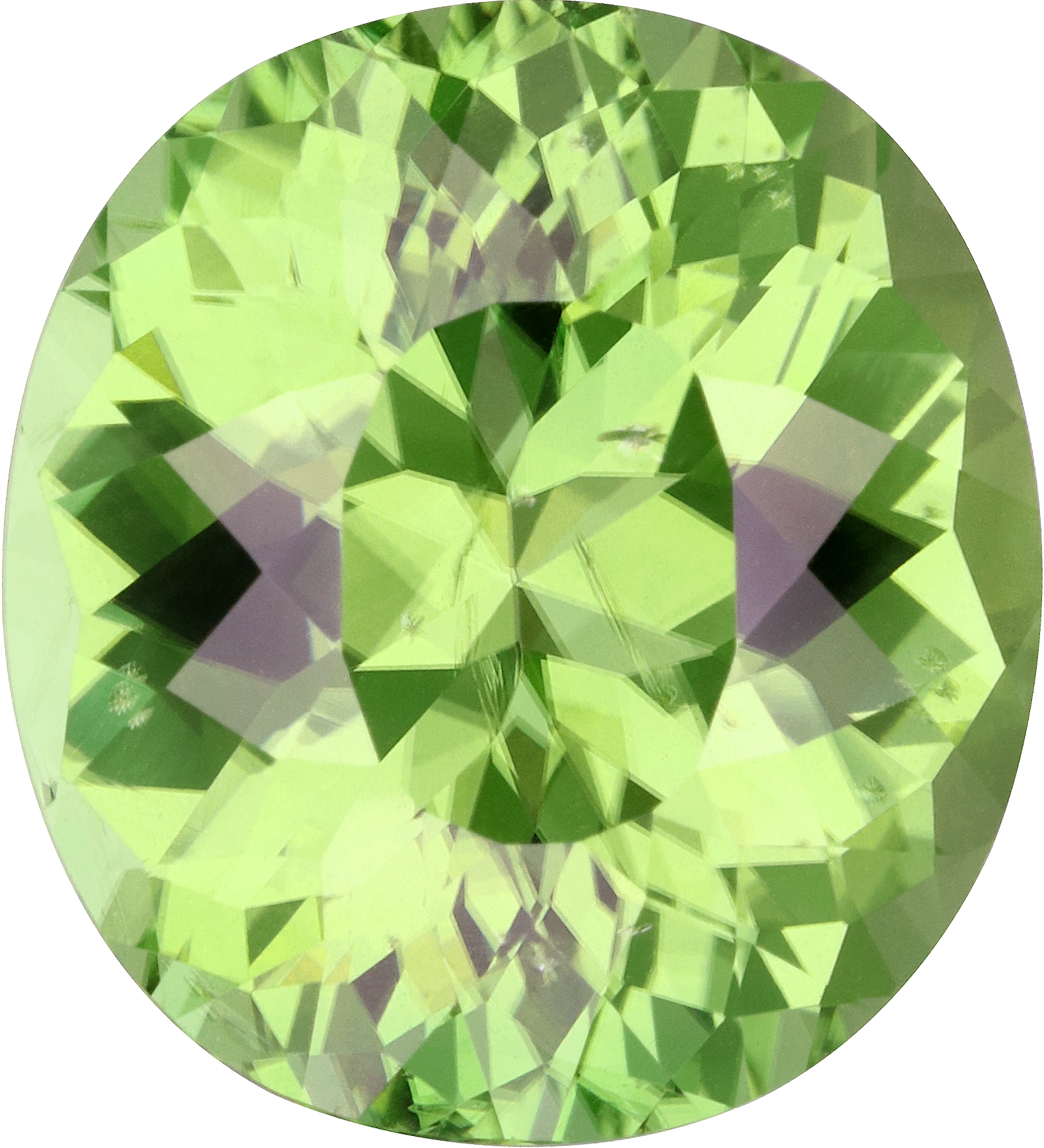 Oval cut chrome tourmaline, 18.21 by 16.51 mm, shown at actual size