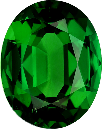 Cushion cut chrome tourmaline, 16.73 by 13.17 mm, shown at actual size