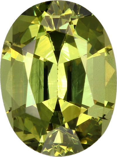 Oval cut grossular garnet, 8.07 by 6.06 mm, shown at actual size