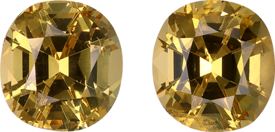 Cushion cut grossular garnet, 7.97 by 7.46 mm, shown at actual size