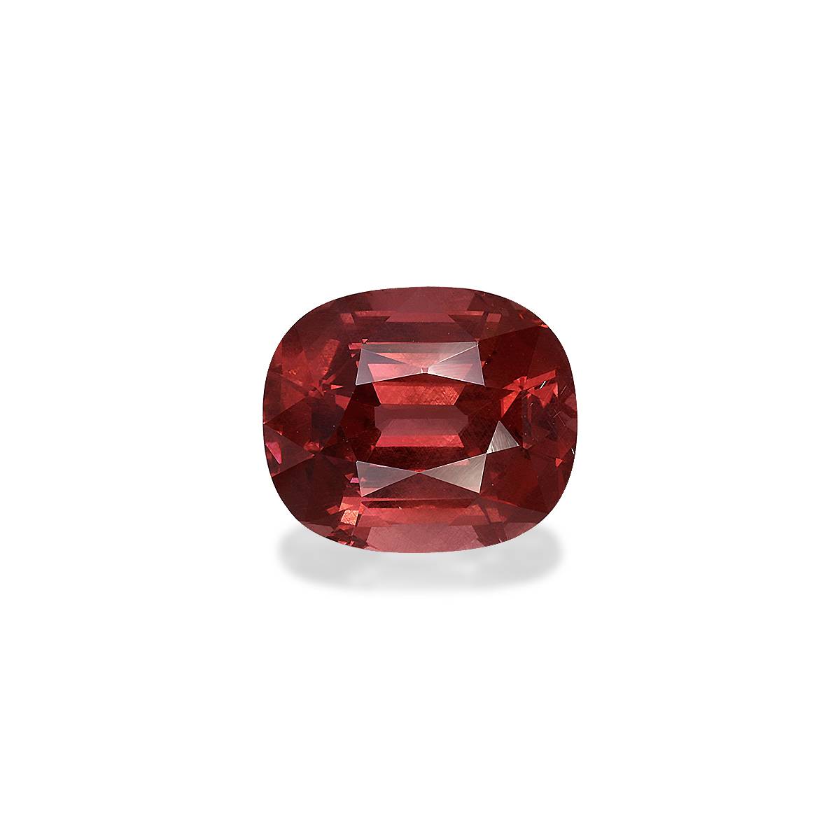 Coral Pink Malaya Garnet 4.69ct - 11x9mm | STARLANKA