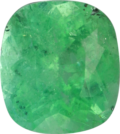Cushion cut paraiba tourmaline, 6.58 by 5.89 mm, shown at actual size