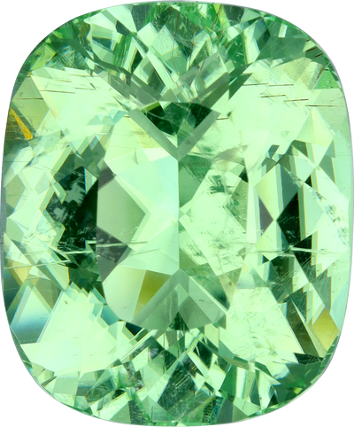Cushion cut paraiba tourmaline, 25.82 by 21.38 mm, shown at actual size