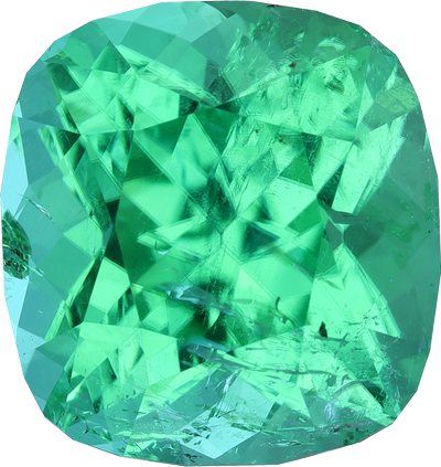 Cushion cut paraiba tourmaline, 11.74 by 11.06 mm, shown at actual size