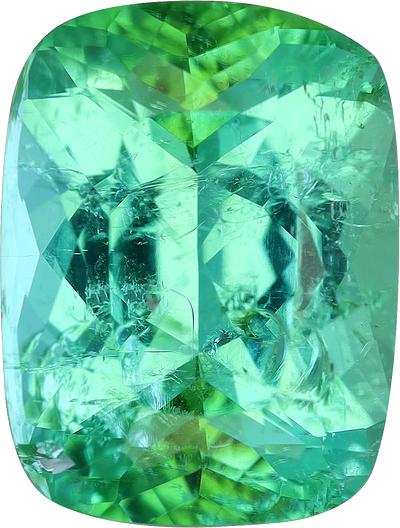 Cushion cut paraiba tourmaline, 10.95 by 8.29 mm, shown at actual size