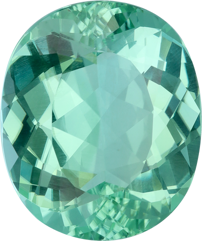 Oval cut paraiba tourmaline, 26.6 by 22.28 mm, shown at actual size
