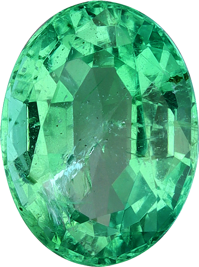 Oval cut zambian emerald, 7.98 by 5.98 mm, shown at actual size