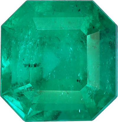 Square cut colombian emerald, 8.29 by 8.01 mm, shown at actual size