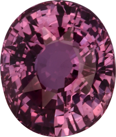 Oval cut pink sapphire, 7.51 by 6.34 mm, shown at actual size