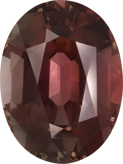 Oval cut pink tourmaline, 15.85 by 11.98 mm, shown at actual size