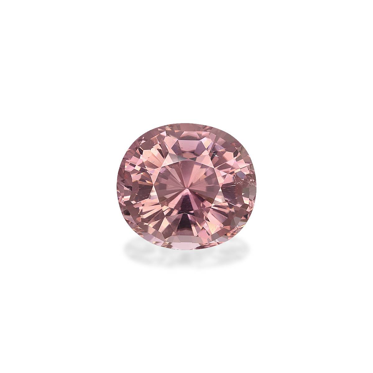 プリズムストーン P-T19★ P-T20★ P-T21★ フレッシュピンク Salmon Pink Tourmaline 21.87ct - 19x17mm | STARLANKA