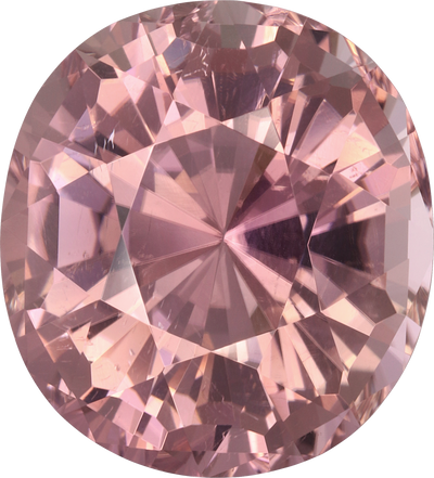 Oval cut pink tourmaline, 18.98 by 17.18 mm, shown at actual size