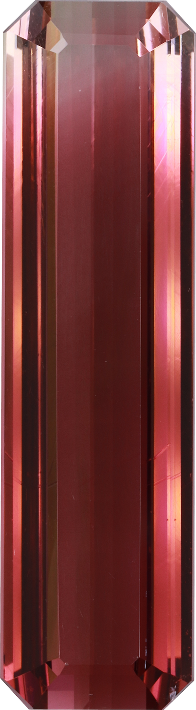 Rectangular cut bi colour tourmaline, 35.6 by 9.7 mm, shown at actual size