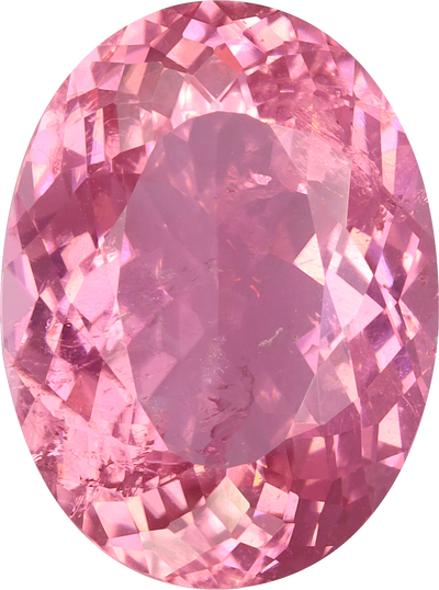 Oval cut pink tourmaline, 15.55 by 11.66 mm, shown at actual size