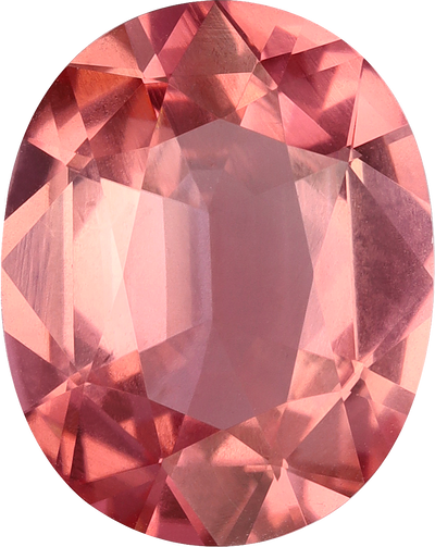 Oval cut pink tourmaline, 11.04 by 8.71 mm, shown at actual size