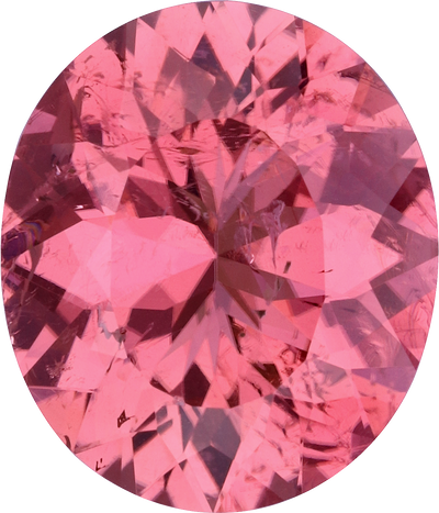 Oval cut pink tourmaline, 14.1 by 12.14 mm, shown at actual size