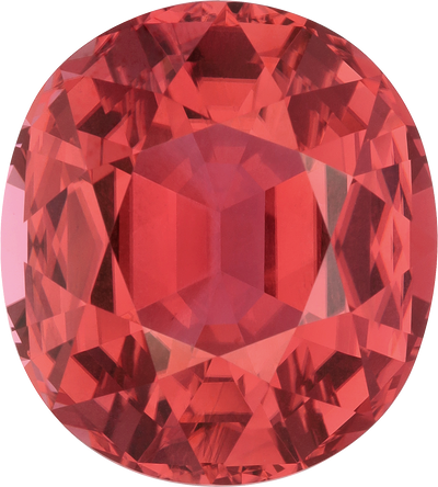 Oval cut mix tourmaline, 24.17 by 21.82 mm, shown at actual size
