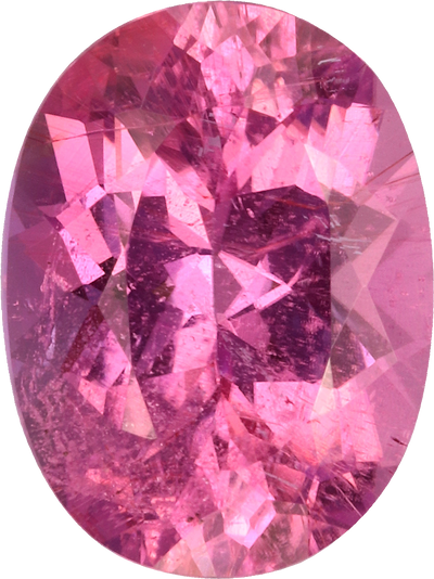 Oval cut rubellite tourmaline, 8.13 by 6.07 mm, shown at actual size