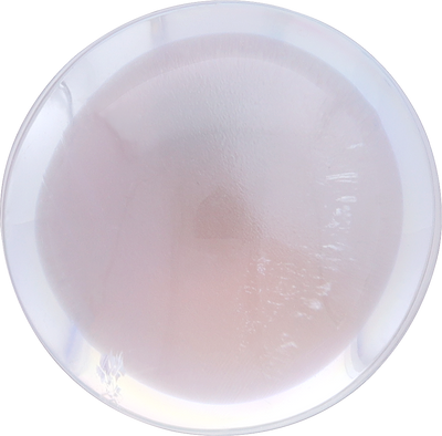 Round cut rainbow moonstone, 12.47 by 12.33 mm, shown at actual size