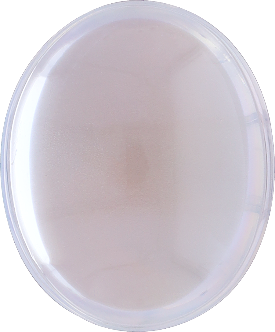 Oval cut rainbow moonstone, 13.37 by 11.12 mm, shown at actual size