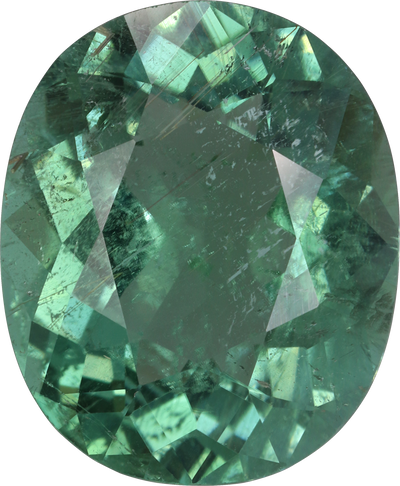 Oval cut green tourmaline, 16.54 by 13.59 mm, shown at actual size
