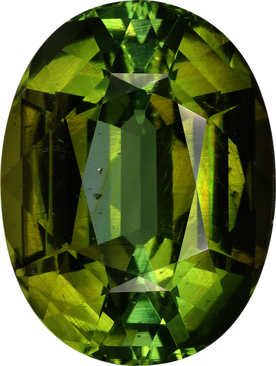 Oval cut green tourmaline, 20.03 by 15.1 mm, shown at actual size