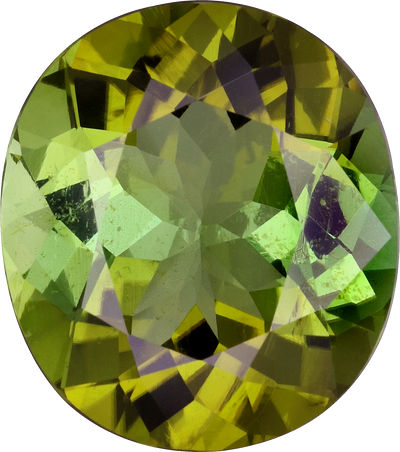 Oval cut green tourmaline, 15.11 by 13.34 mm, shown at actual size