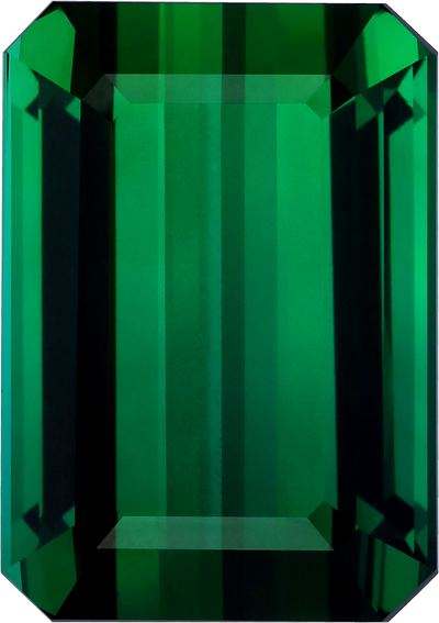 Rectangular cut green tourmaline, 23.96 by 16.89 mm, shown at actual size