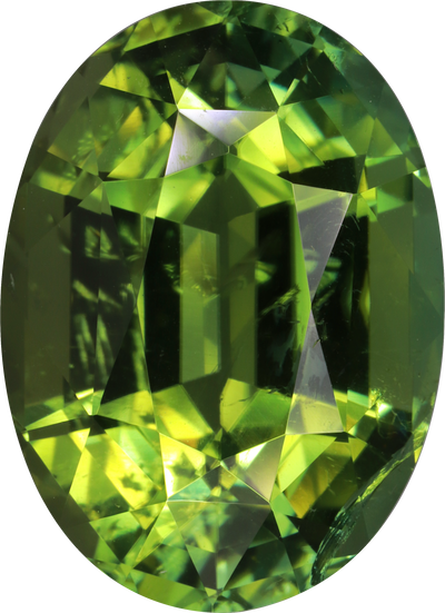 Oval cut green tourmaline, 18.2 by 13.2 mm, shown at actual size