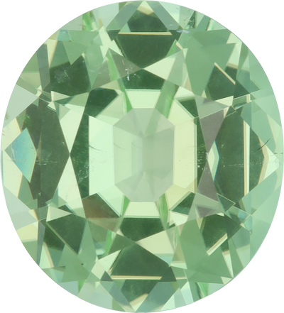 Oval cut green tourmaline, 19.79 by 17.86 mm, shown at actual size
