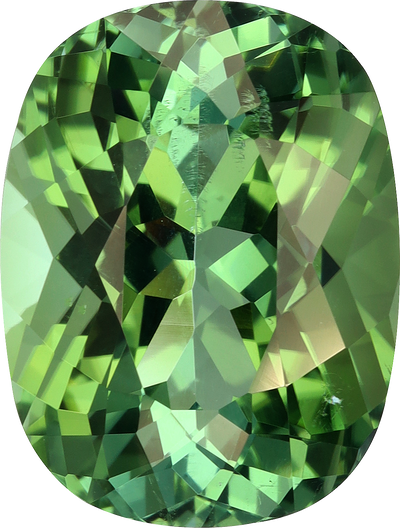 Cushion cut green tourmaline, 16 by 12 mm, shown at actual size
