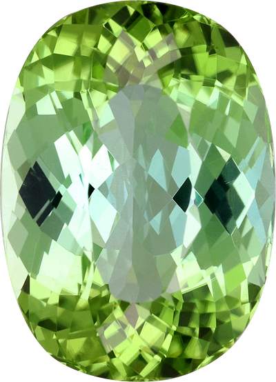 Cushion cut green tourmaline, 16.35 by 11.71 mm, shown at actual size